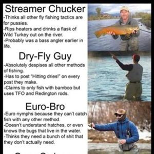 Meet your Posher, Dylan